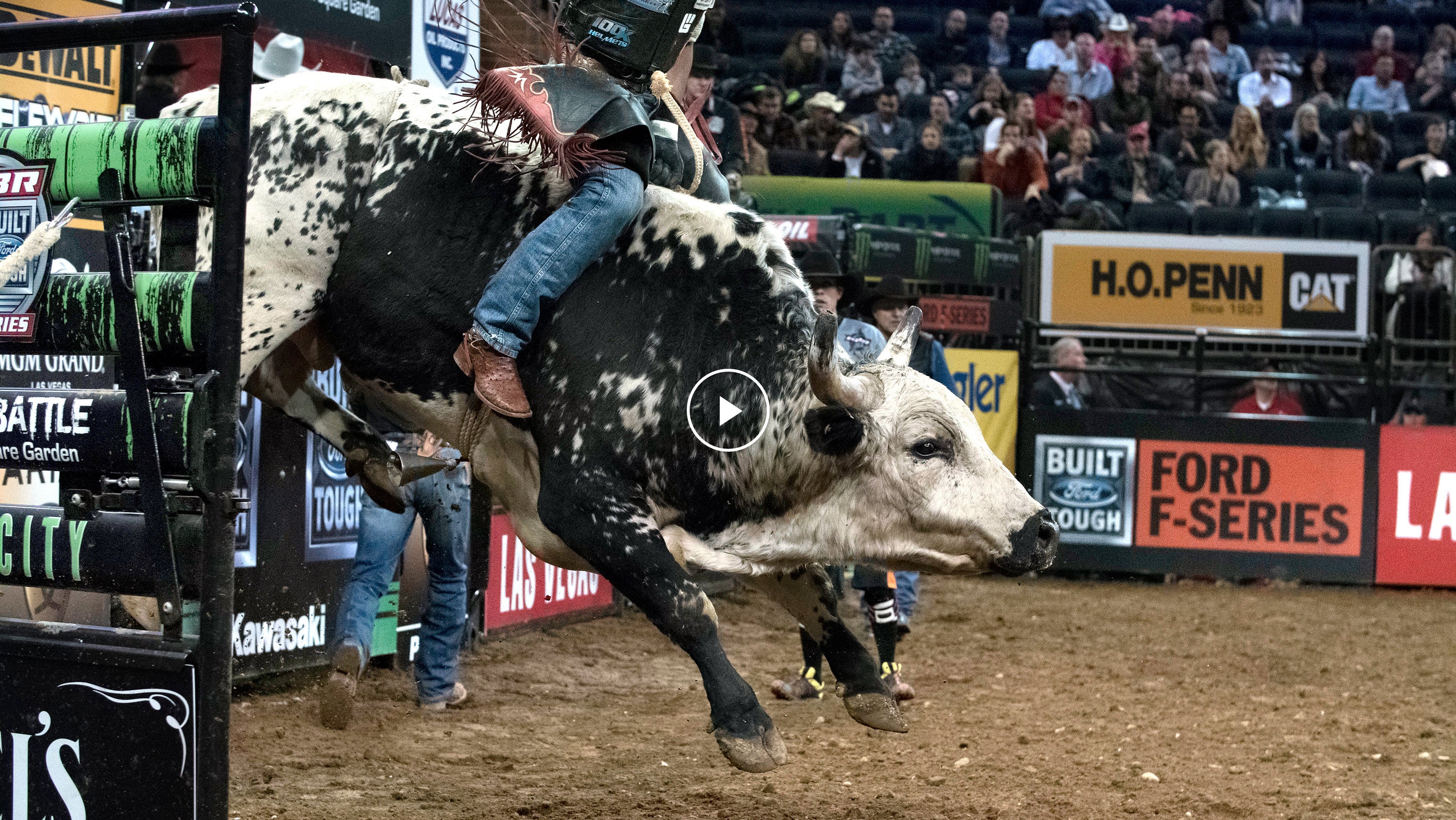 nude bull riding - veronica falcon nude lena the plug hason luv