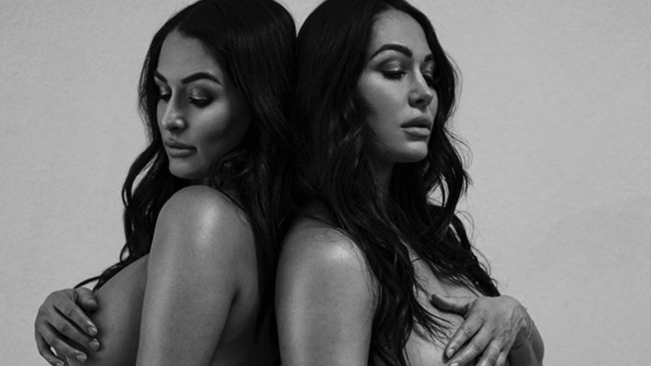 Best of bollywood erotic ainal mardhiah share nude pictures of nikki bella photos