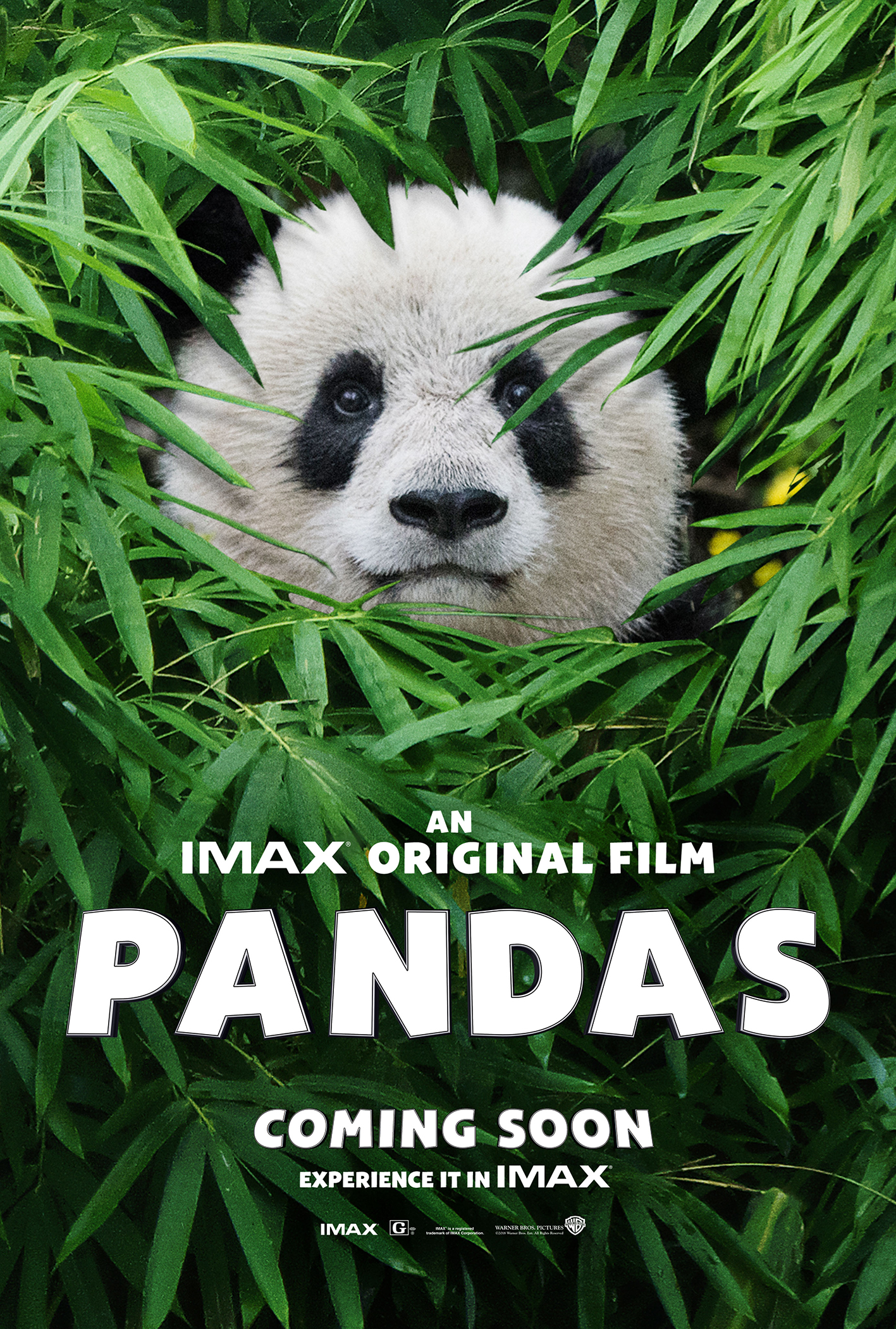 dennis bain like pandamovies com photo charles keene recommends pandamovies com pic