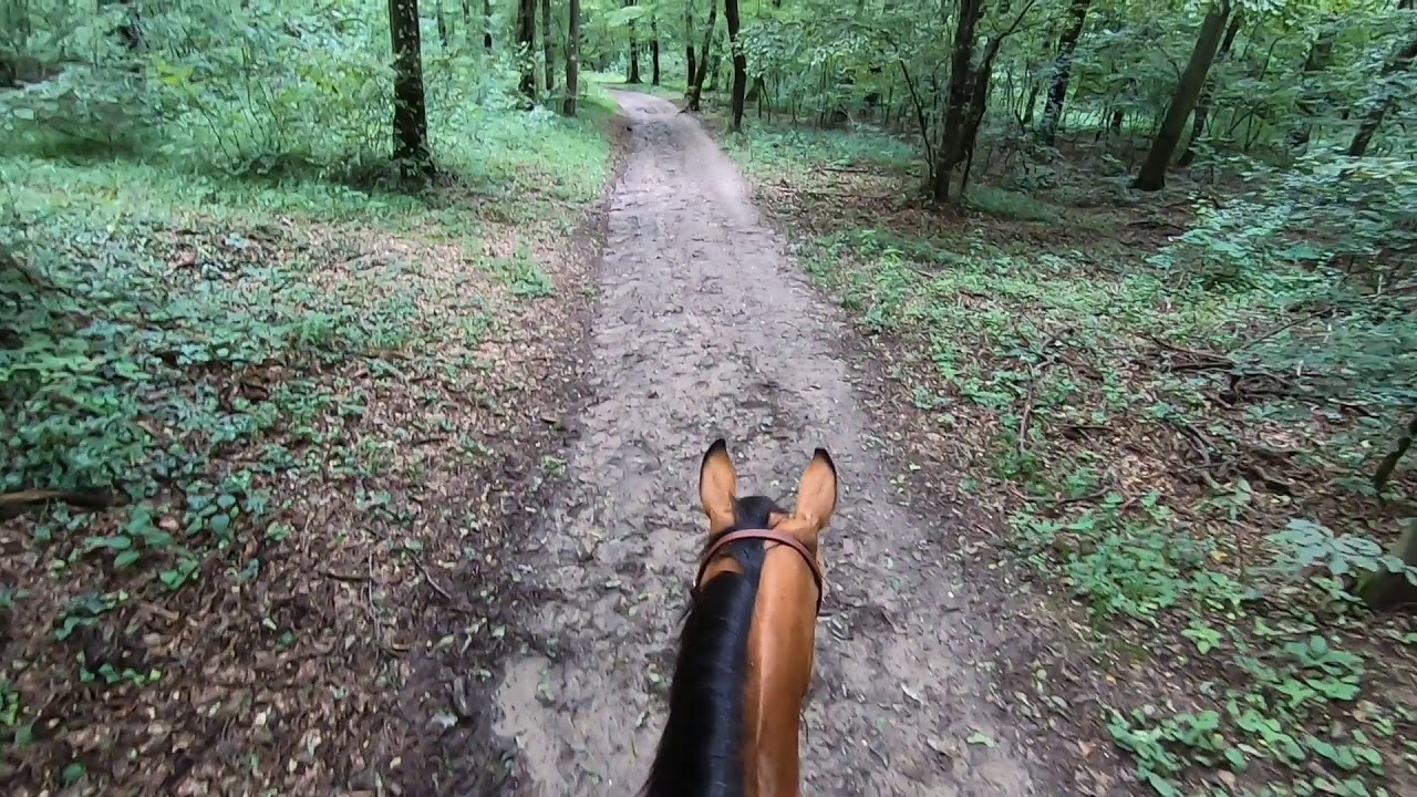brian jay miller like you pov riding photo carol newey recommends jeri ryan sexiest pic
