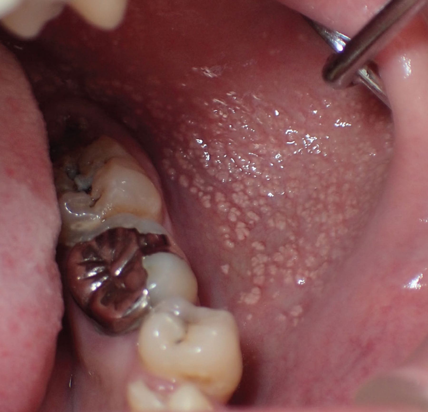 rough oral porn - johnny sins hayley davies wrap around footjob