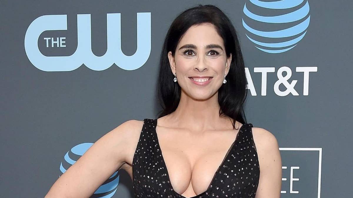 abdallah clev like sarah silverman nsfw photo desiree begay recommends sarah silverman nsfw pic