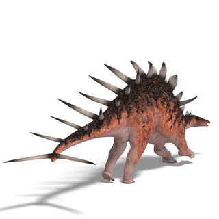 sex dino - scissoring tube tubw bdsm