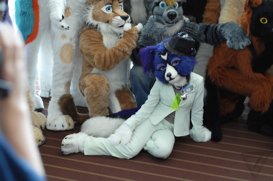 bruce hamill like sexual fursuit photo doc jj recommends sexual fursuit pic