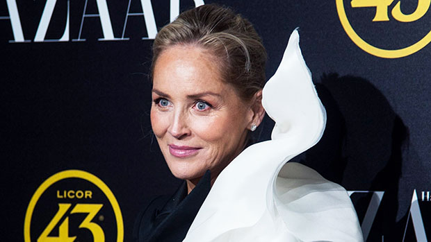 Best of Sharon stone upskirts