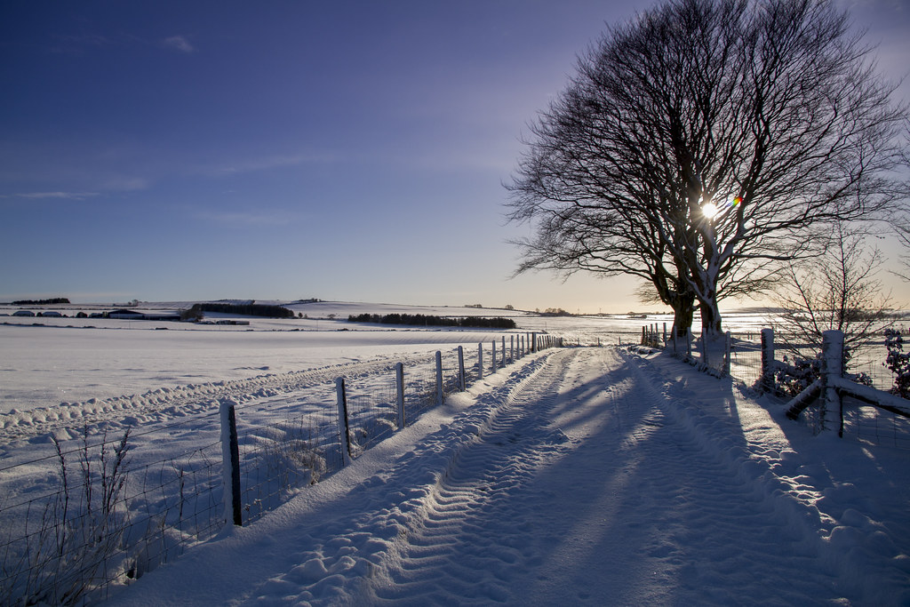 doug waitzman recommends snow so icy andrew noll add snow so icy photo