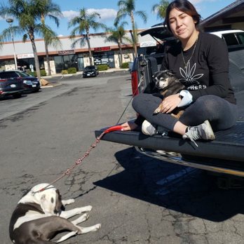 bernadette roque recommends Staffy Moreno
