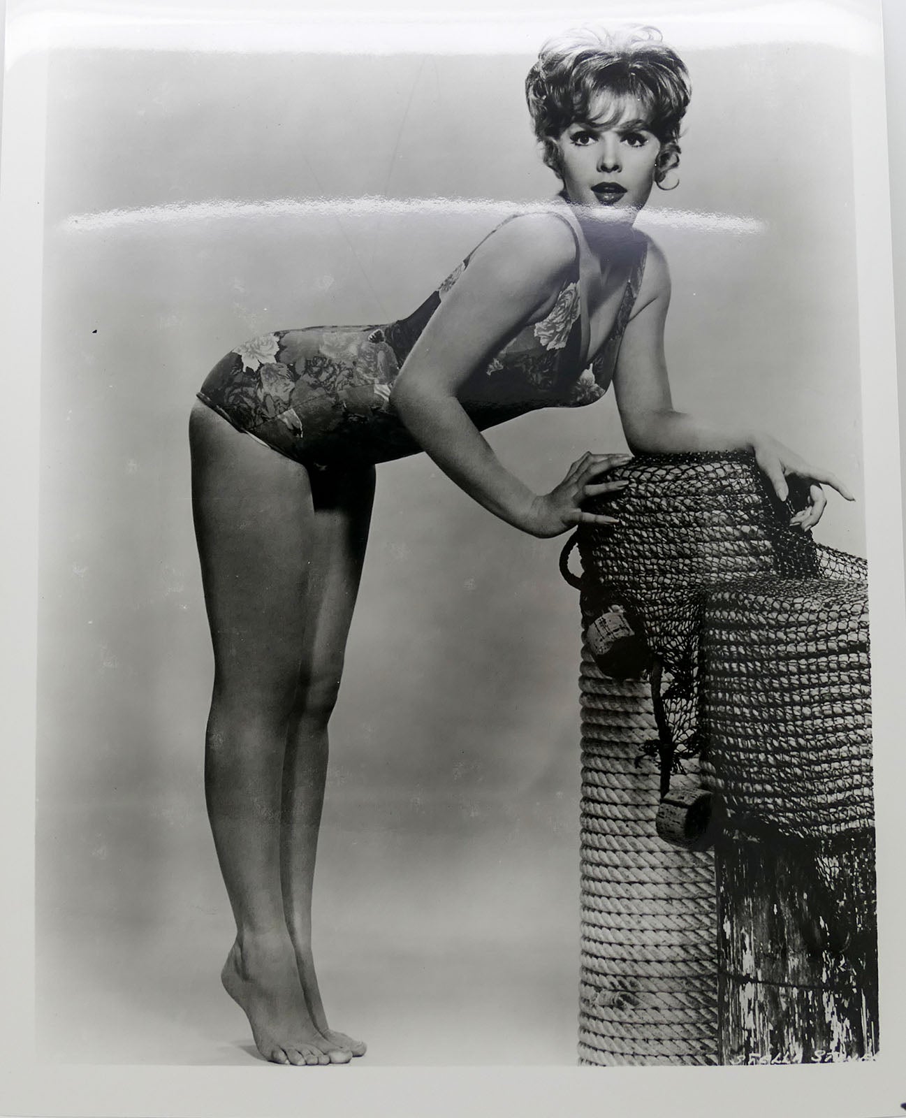 stella stevens lingerie dolly diore stella stevens lingerie