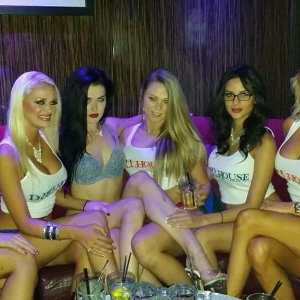 Tampa Bay Swingers et chien david litwak recommends Tampa Bay Swingers