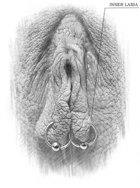 Tattooed Clitoris naked xxx