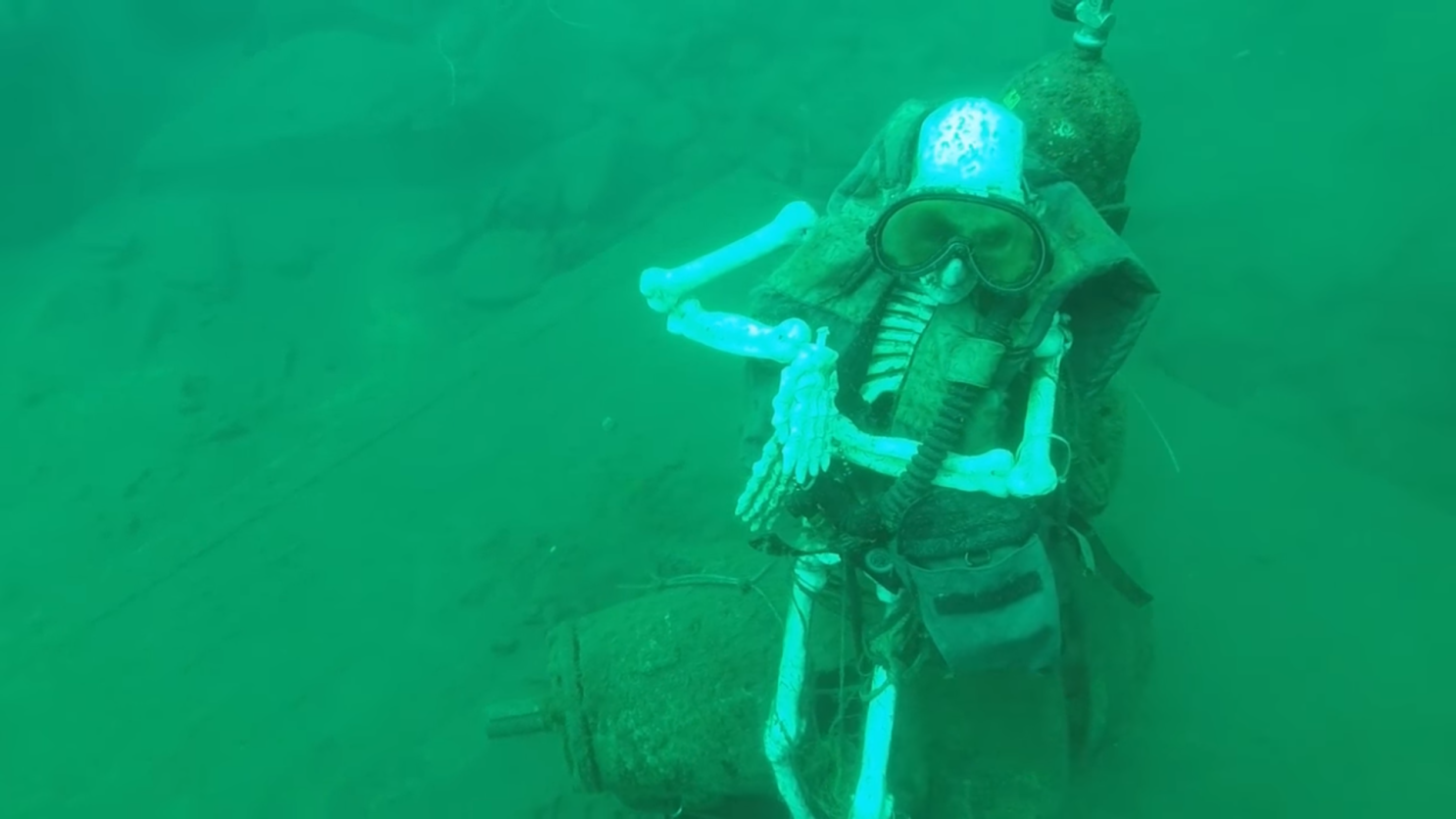 andrew flickinger like diver teri photo andrea thorburn recommends videos pornos de belinda pic