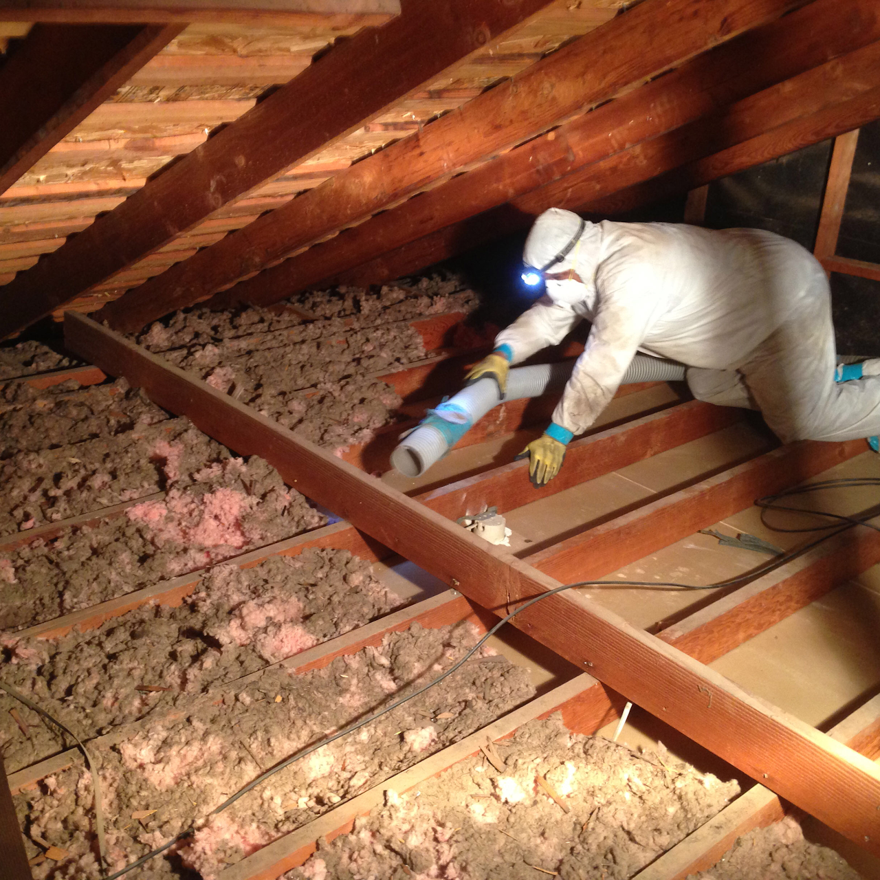 the crawler in the attic - pegging slave lily ivy videos