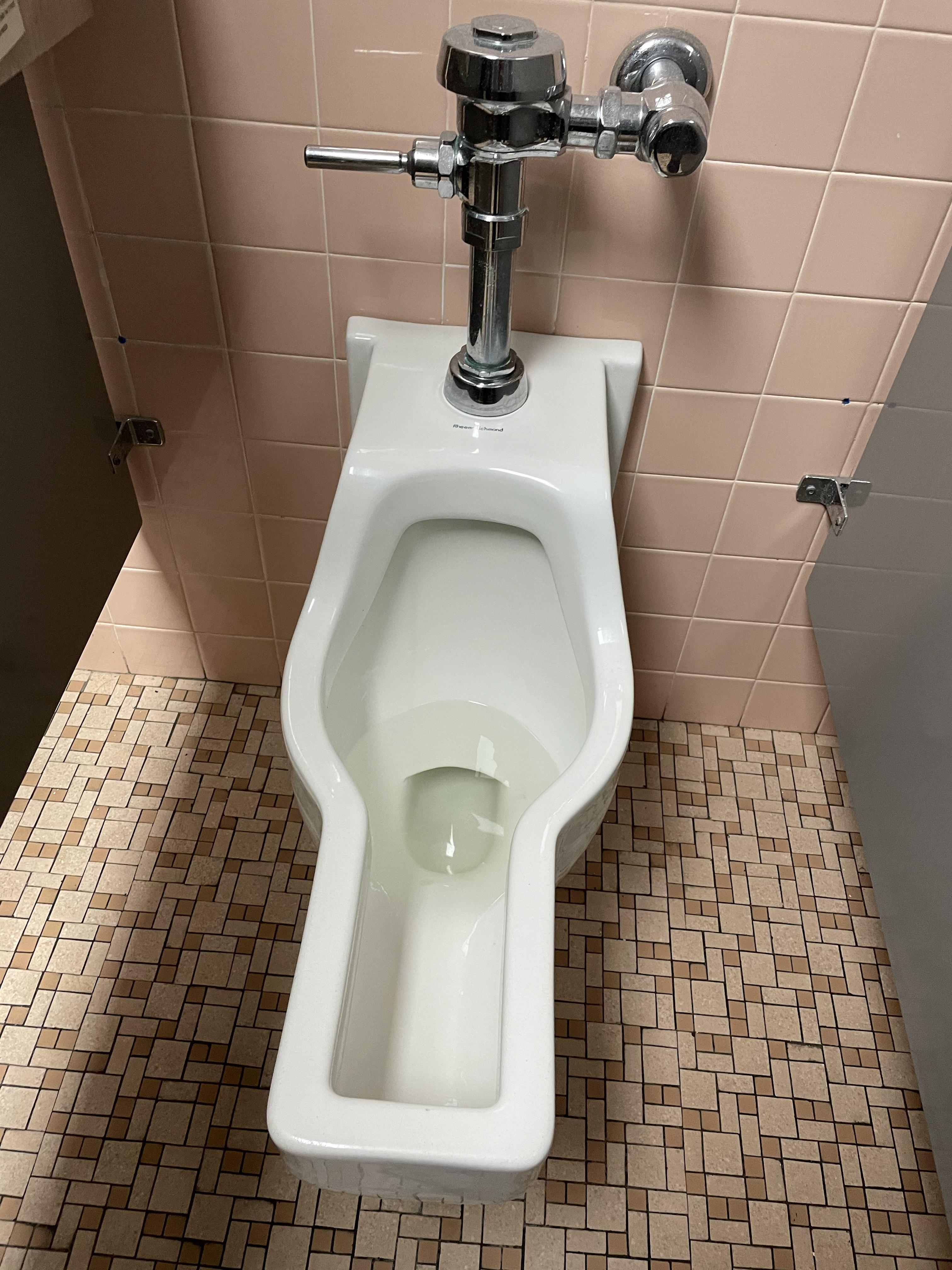 toilet voyeur - mommy horney logan reese porn