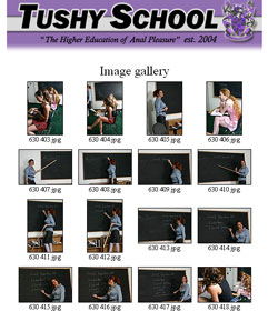 tushy school bar pa tushy school