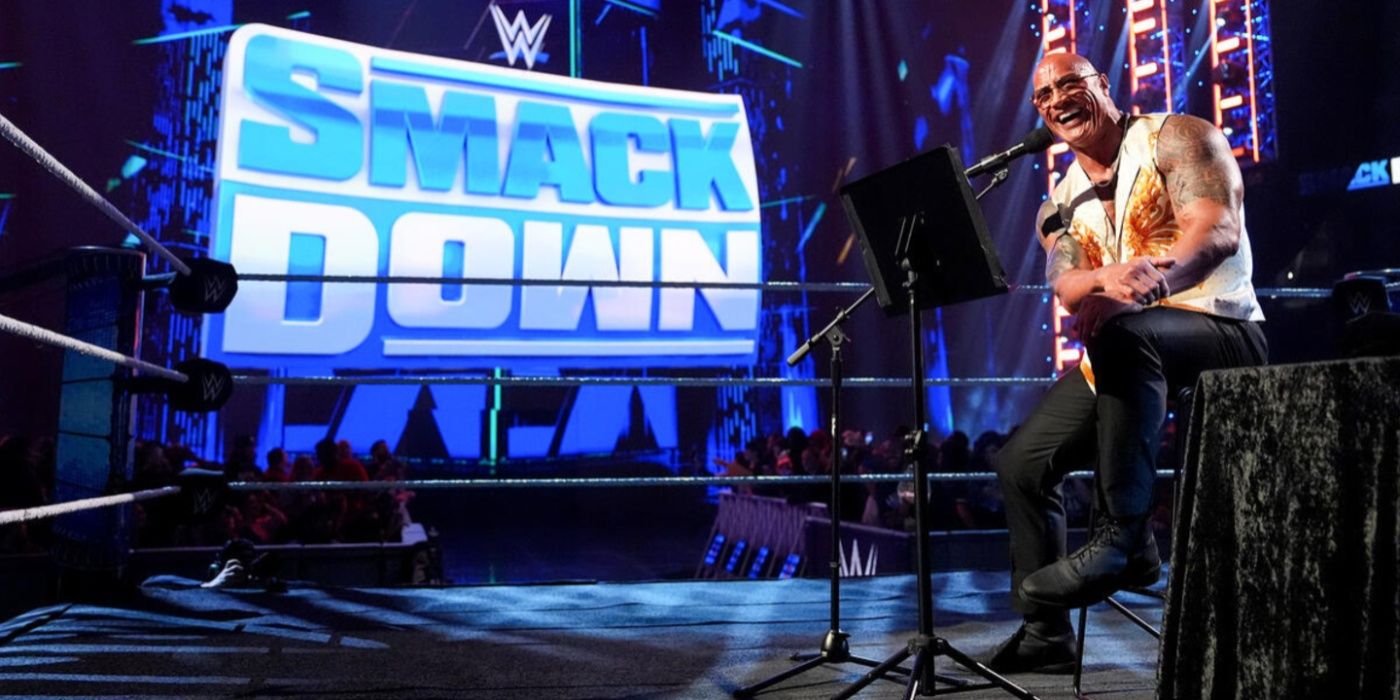 Best of Wwe fan flashes